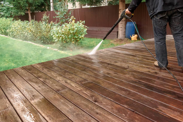 Best Driveway Pressure Washing  in International Falls, MN