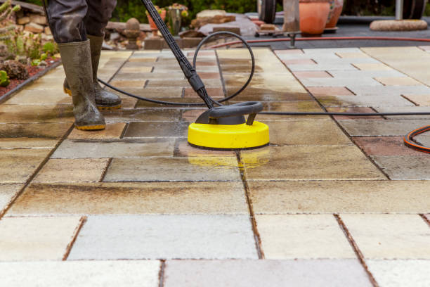 Best Sidewalk and Walkway Cleaning  in International Falls, MN